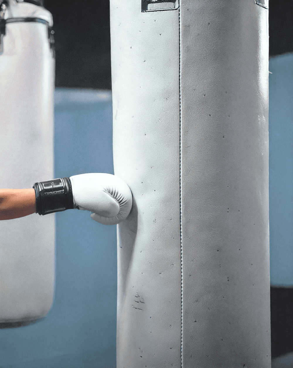 フィットネスボクシング